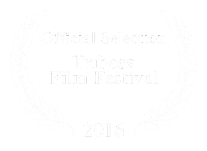 Hot Air Austin Film Festival laurels 2016